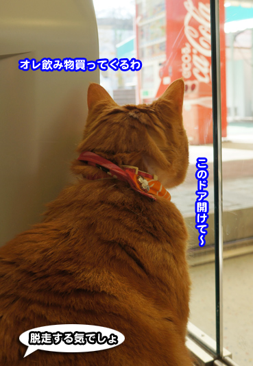 cafe1319.jpg