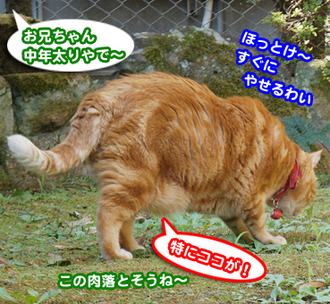 debu3704.jpg