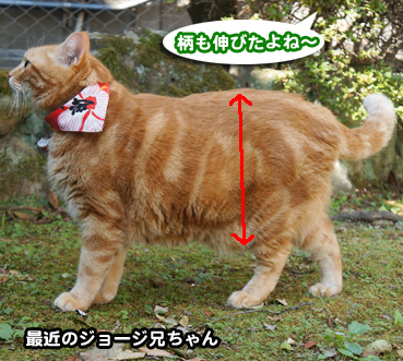 debu3741.jpg