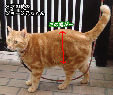 debu1134.jpg