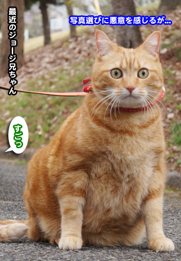 debu0315.jpg