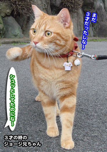 debu0512.jpg