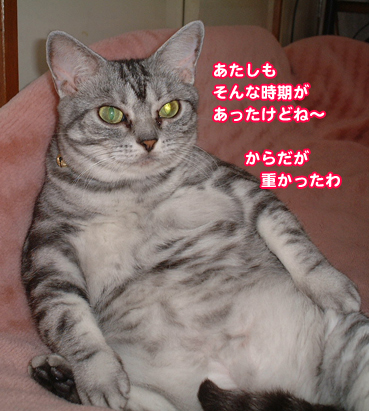 debu0017.jpg