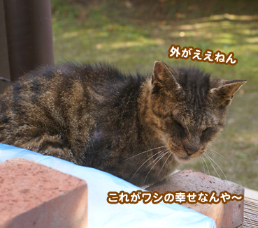 fuuta0382.jpg