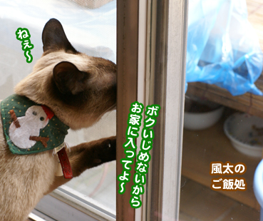 fuuta0383.jpg