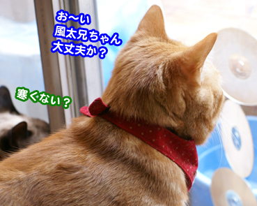 fuuta0384.jpg