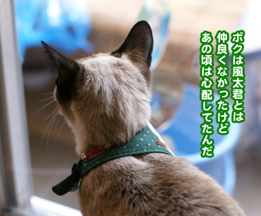 fuuta0381.jpg
