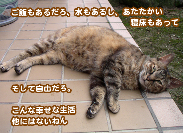 fuuta000058.jpg