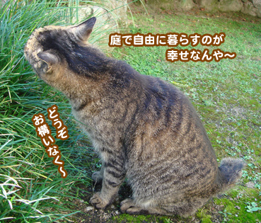 fuuta2265.jpg