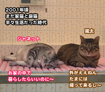 fuuta000027.jpg