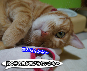 samu0074.jpg