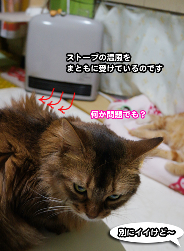 samu0081.jpg