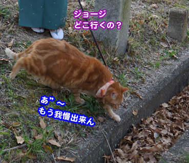 yuu6545.jpg