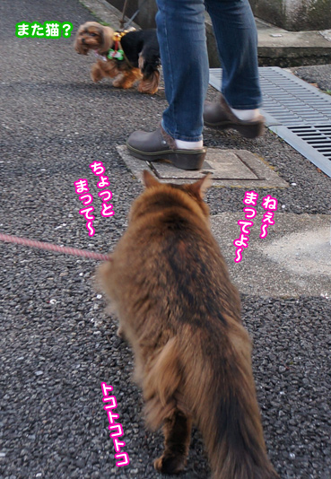 inu6965.jpg