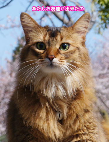 inu6124.jpg
