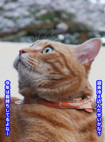 futari6936.jpg