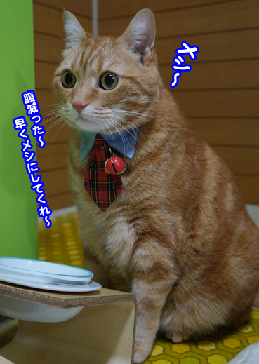chichi4849.jpg
