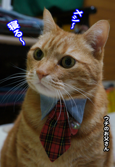 chichi4832.jpg