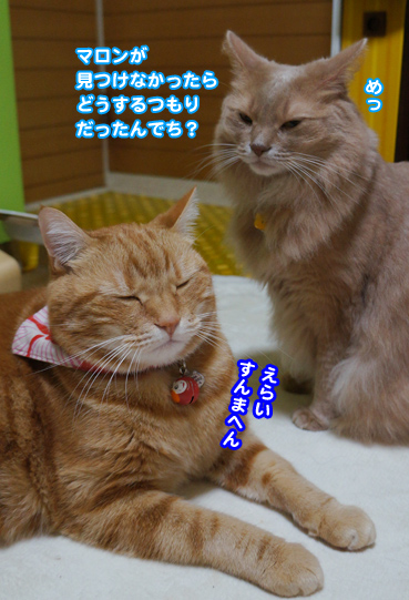 tonari7814.jpg