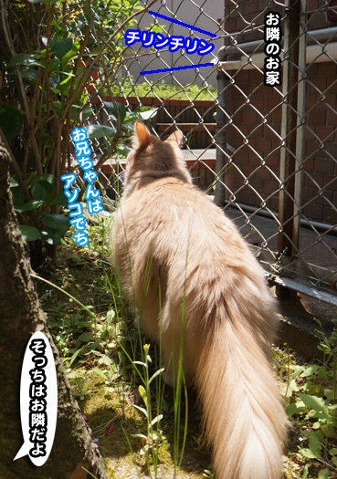 tonari9000.jpg