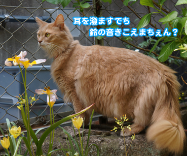 tonari8990.jpg