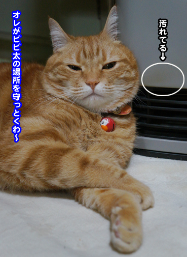 suto9041.jpg