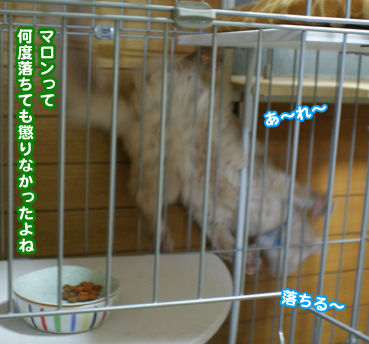 suto0076.jpg