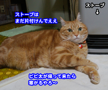 suto9040.jpg