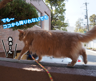 fuku5207.jpg