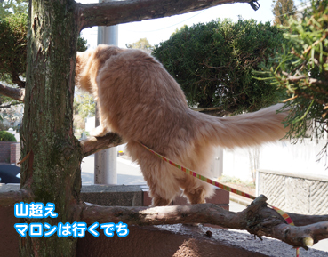 fuku5200.jpg