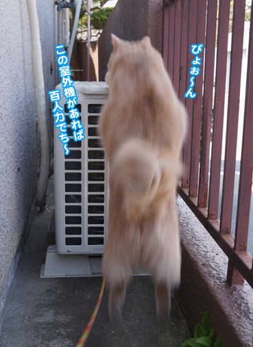 fuku5183.jpg