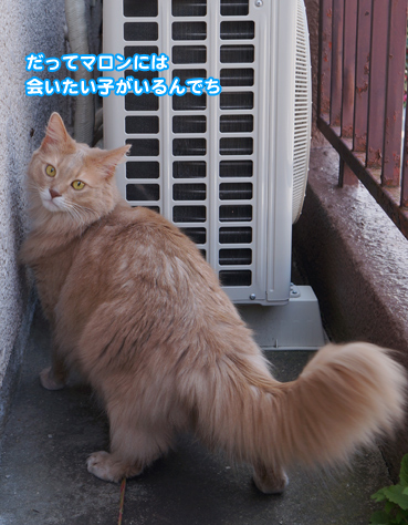 fuku5179.jpg