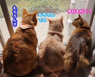 fuku8243.jpg