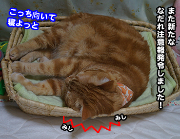 nadare0950.jpg