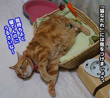 nadare0252.jpg