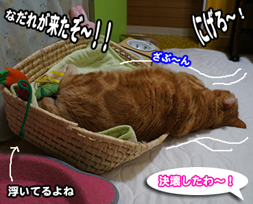 nadare0248.jpg