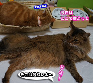 nadare0243.jpg