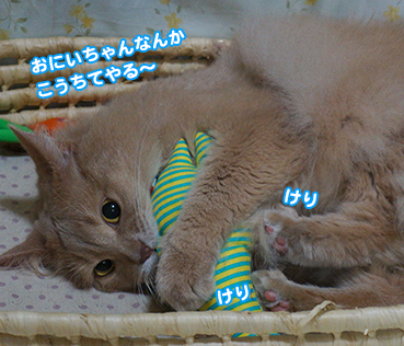 ame0193.jpg