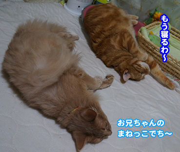 ame0351.jpg
