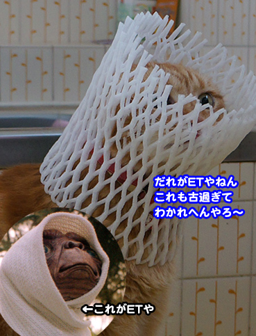 ET2519.jpg