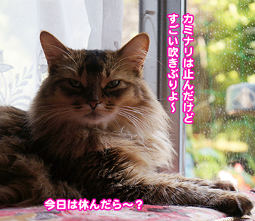 kami9455.jpg