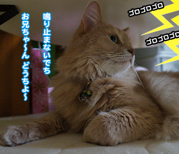 kami1170.jpg