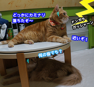 kami1167.jpg