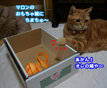 hako2284.jpg