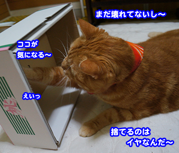 hako2276.jpg