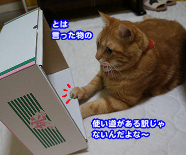 hako2269.jpg
