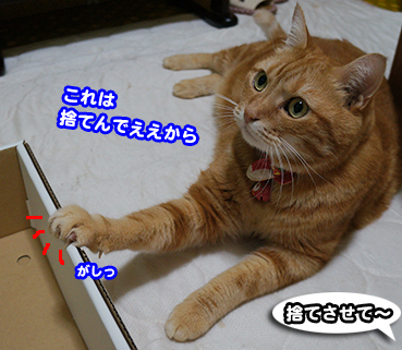 hako2268.jpg