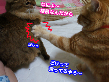 goro2141.jpg