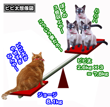 20140131_707779.jpg
