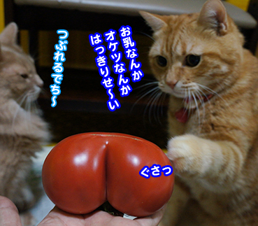 tomato6793.jpg